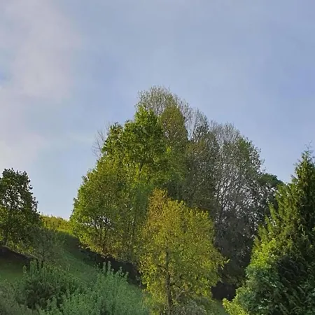 Tranquil In Doernthal * Voigtsdorf