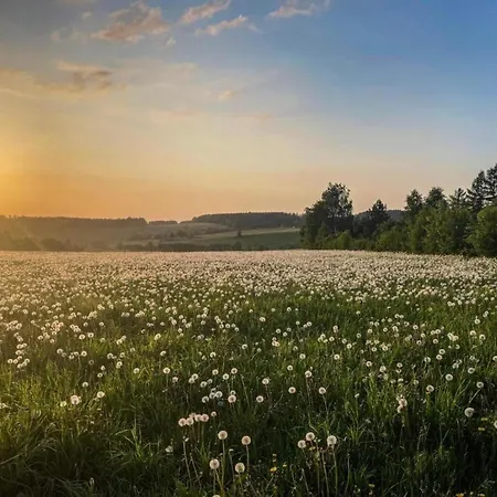Tranquil In Doernthal Appartement Voigtsdorf