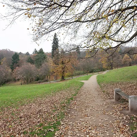 Tranquil In Doernthal *