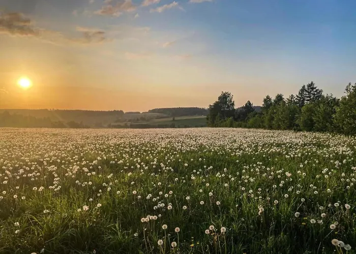 Tranquil In Doernthal Apartment Voigtsdorf